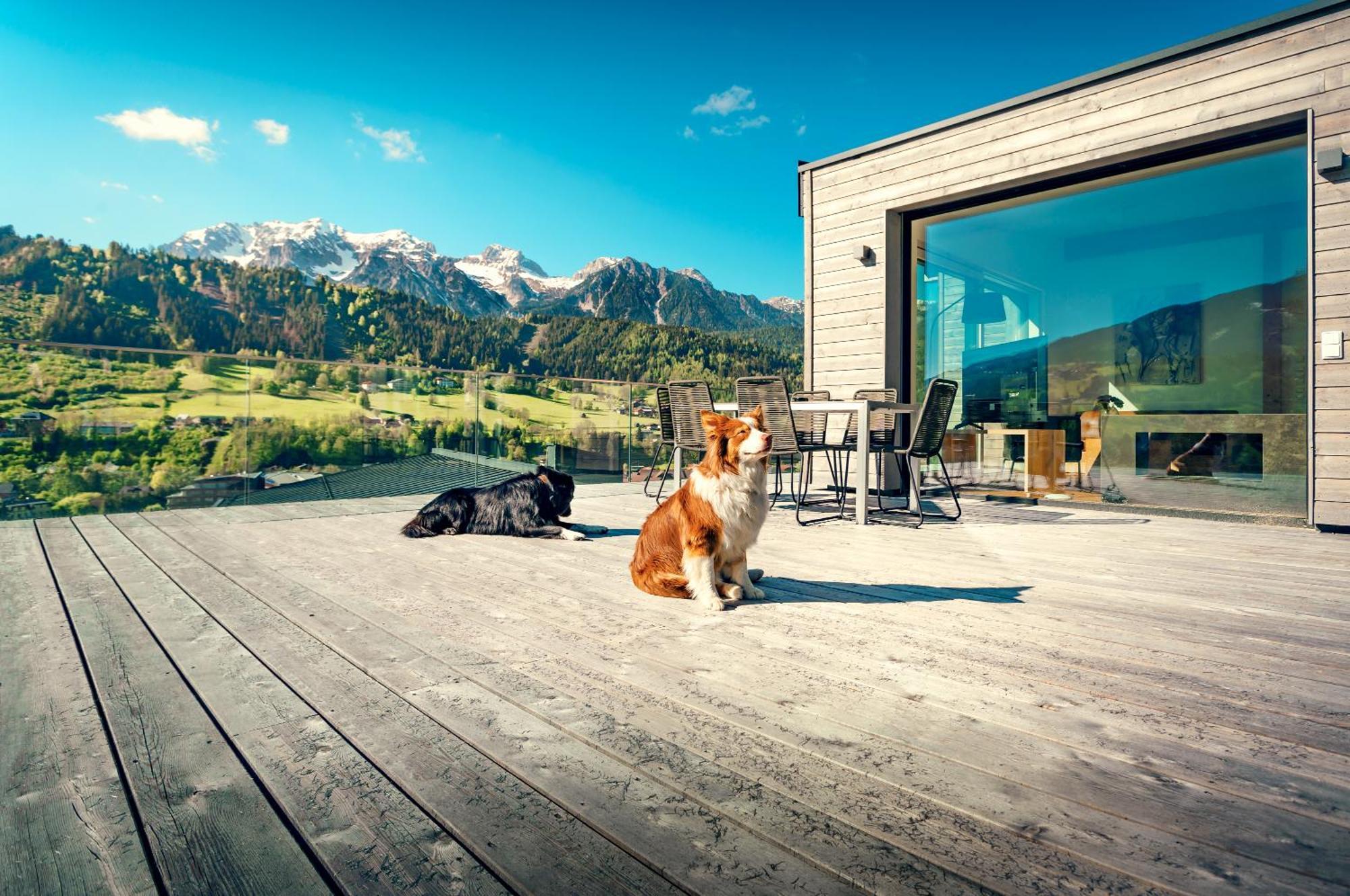 Chalets Coburg Schladming Værelse billede